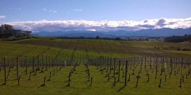 Mahana Vineyards