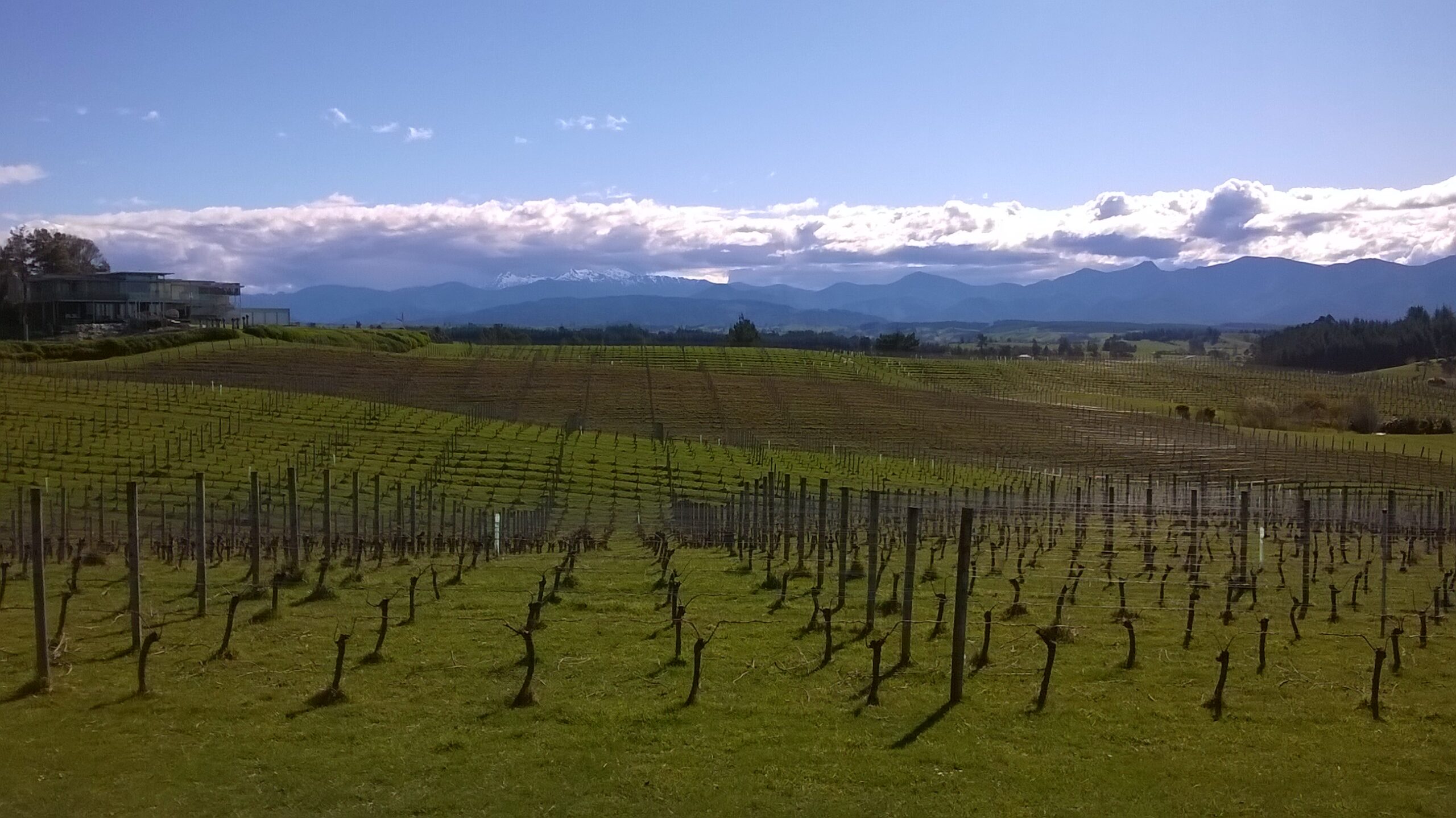 Mahana Vineyards