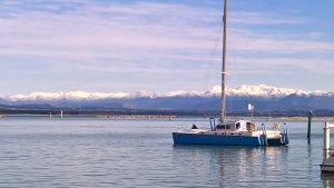 Nelson Harbour in Winter